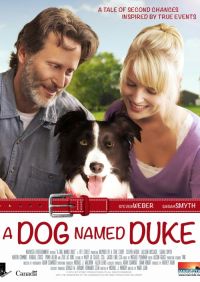 Pies imieniem Duke